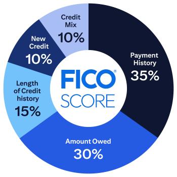 A pie chart breaking down the 5 things that make up your credit score