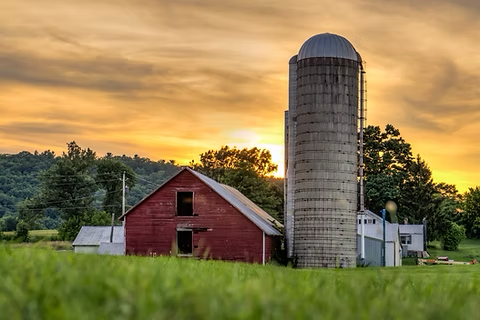 a beautiful farm